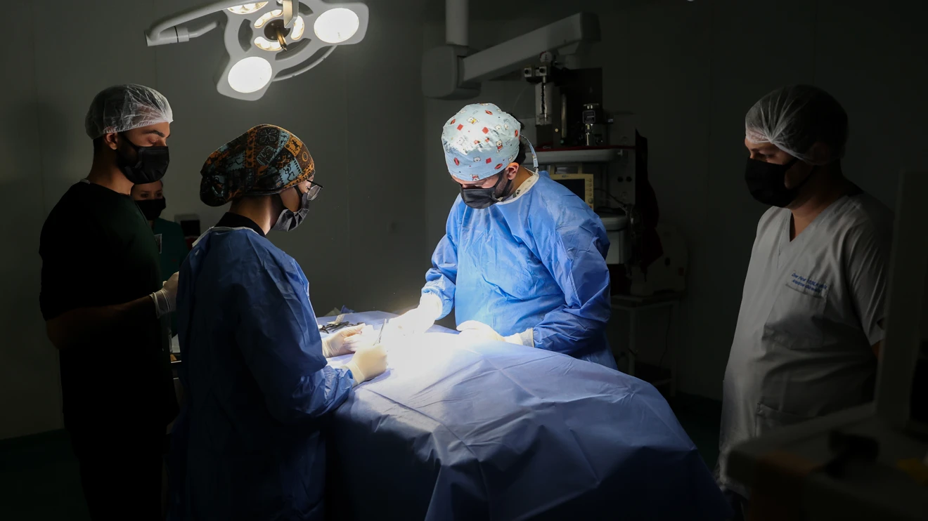 2024 yılında 20 bin hasta ve yaralı hayvana sağlık hizmeti verildi